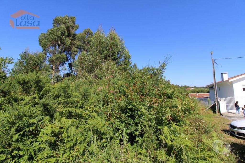 Terrenos Vila Nova de Gaia - Fotos para Terreno Industrial com 13.000 m2 para a construção de armazém