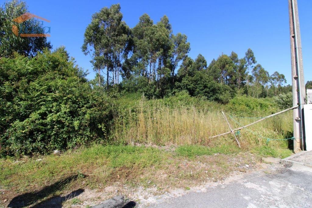 Terrenos Vila Nova de Gaia - Fotos para Terreno Industrial com 13.000 m2 para a construção de armazém