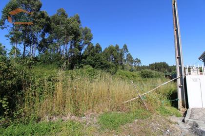 Terrenos - Fotos para Terreno Industrial com 13.000 m2 para a construção de armazém