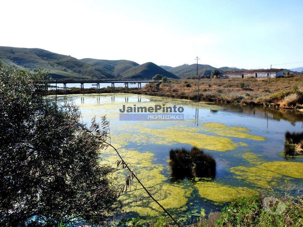 Terrenos Silves - Fotos para Silves-300 000 m2 terra confinante com ribeira ARADE. (8718_30)