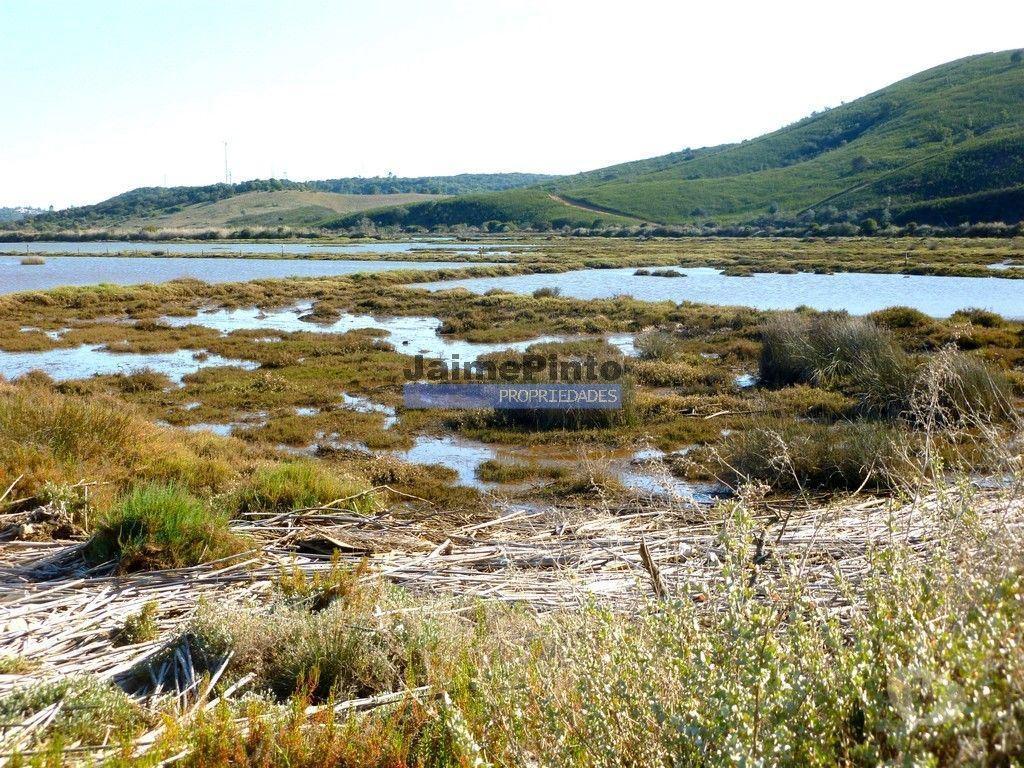 Terrenos Silves - Fotos para Silves-300 000 m2 terra confinante com ribeira ARADE. (8718_30)