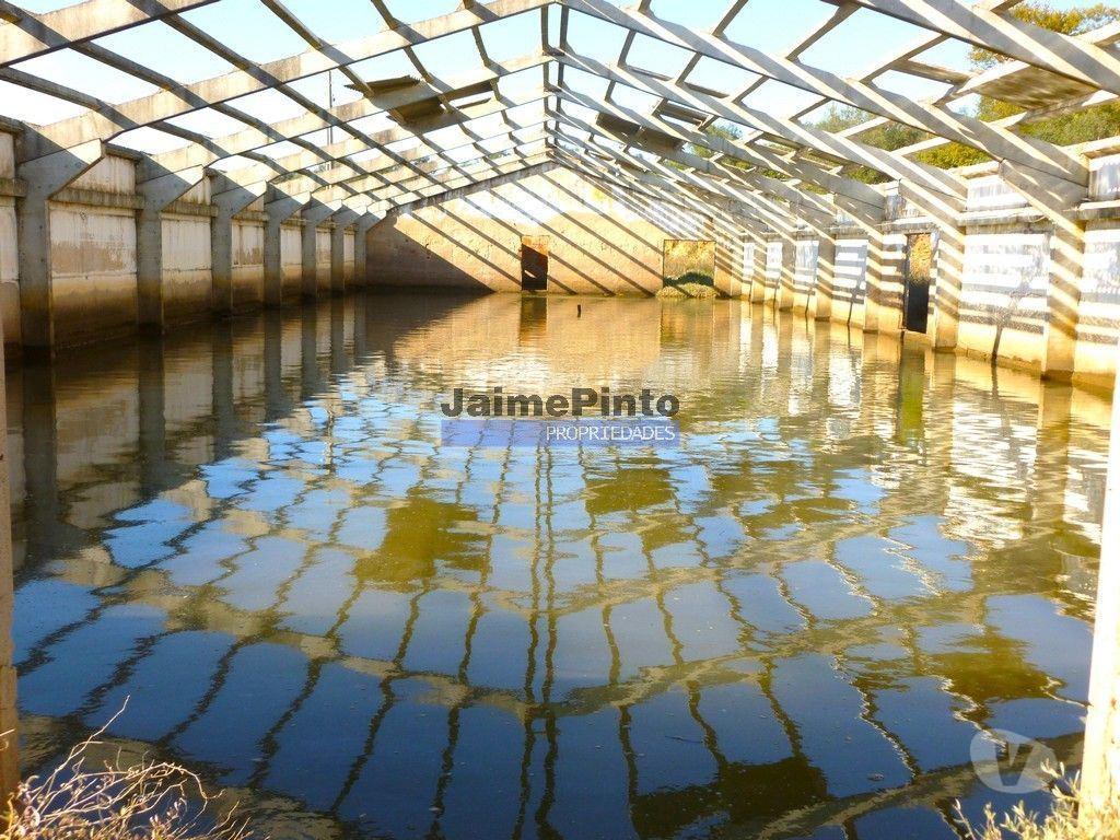 Terrenos Silves - Fotos para 150 000 m2 terra, água, ruínas. Portugal, Silves, Algarve.