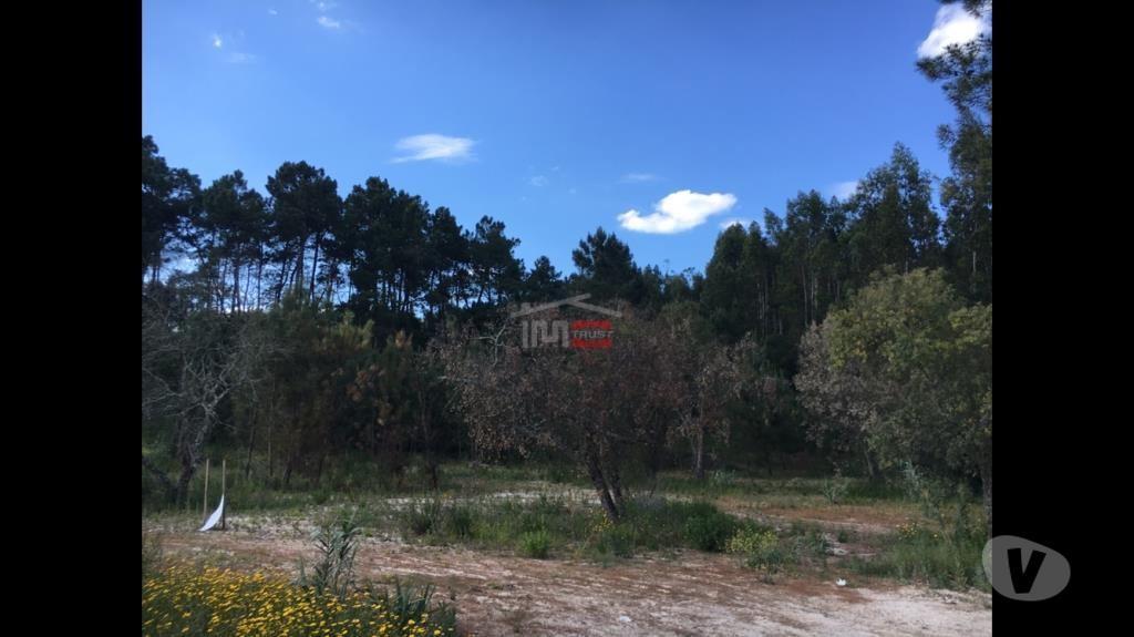 Terrenos Ourém - Fotos para Ourem-Lote de Terreno para contrução (1-T-14517062)