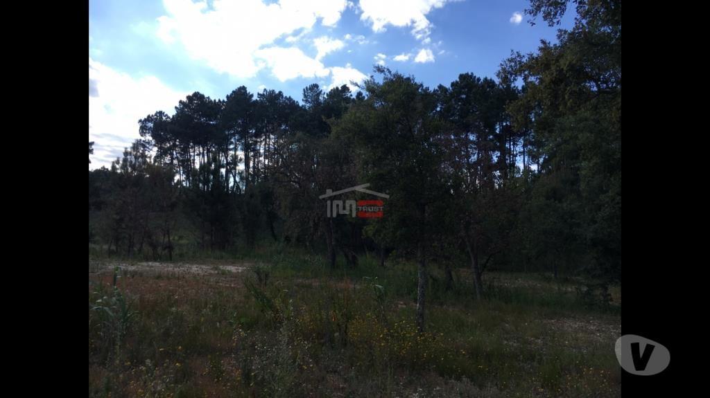 Terrenos Ourém - Fotos para Ourem-Lote de Terreno para contrução (1-T-14517062)