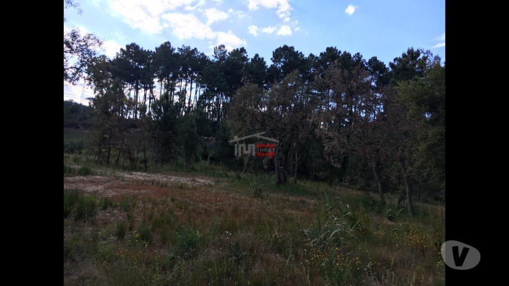 Terrenos Ourém - Fotos para Ourem-Lote de Terreno para contrução (1-T-14517062)