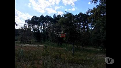 Terrenos - Fotos para Ourem-Lote de Terreno para contrução (1-T-14517062)