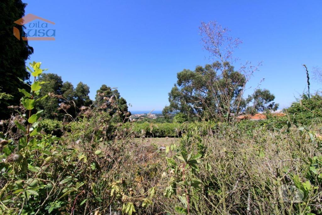 Terrenos Vila Nova de Gaia - Fotos para Vila-nova-de-gaia-Terreno em Santo Ovídio com 5100m2. (808211034)