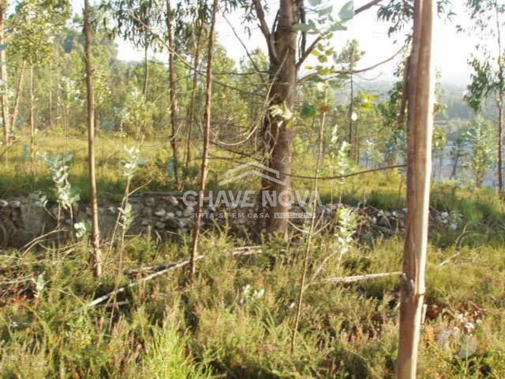 Terrenos Gondomar - Fotos para Gondomar-Lote para Moradia - Melres (RT 01619)