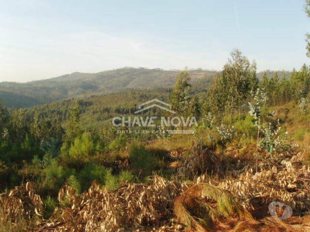 Terrenos Gondomar - Fotos para Gondomar-Lote para Moradia - Melres (RT 01619)