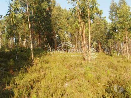 Terrenos e quintas a venda - Fotos para Gondomar-Lote para Moradia - Melres (RT 01619)