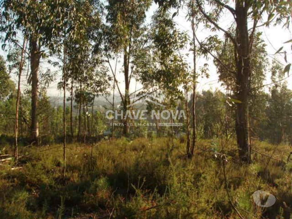 Terrenos Gondomar - Fotos para Gondomar-Lote para Moradia - Melres (RT 01620)