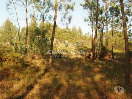 Terrenos a venda - Fotos para Gondomar-Lote para Moradia - Melres (RT 01620)