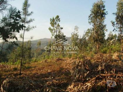 Terrenos - Fotos para Gondomar-Lote para Moradia - Melres (RT 01621)
