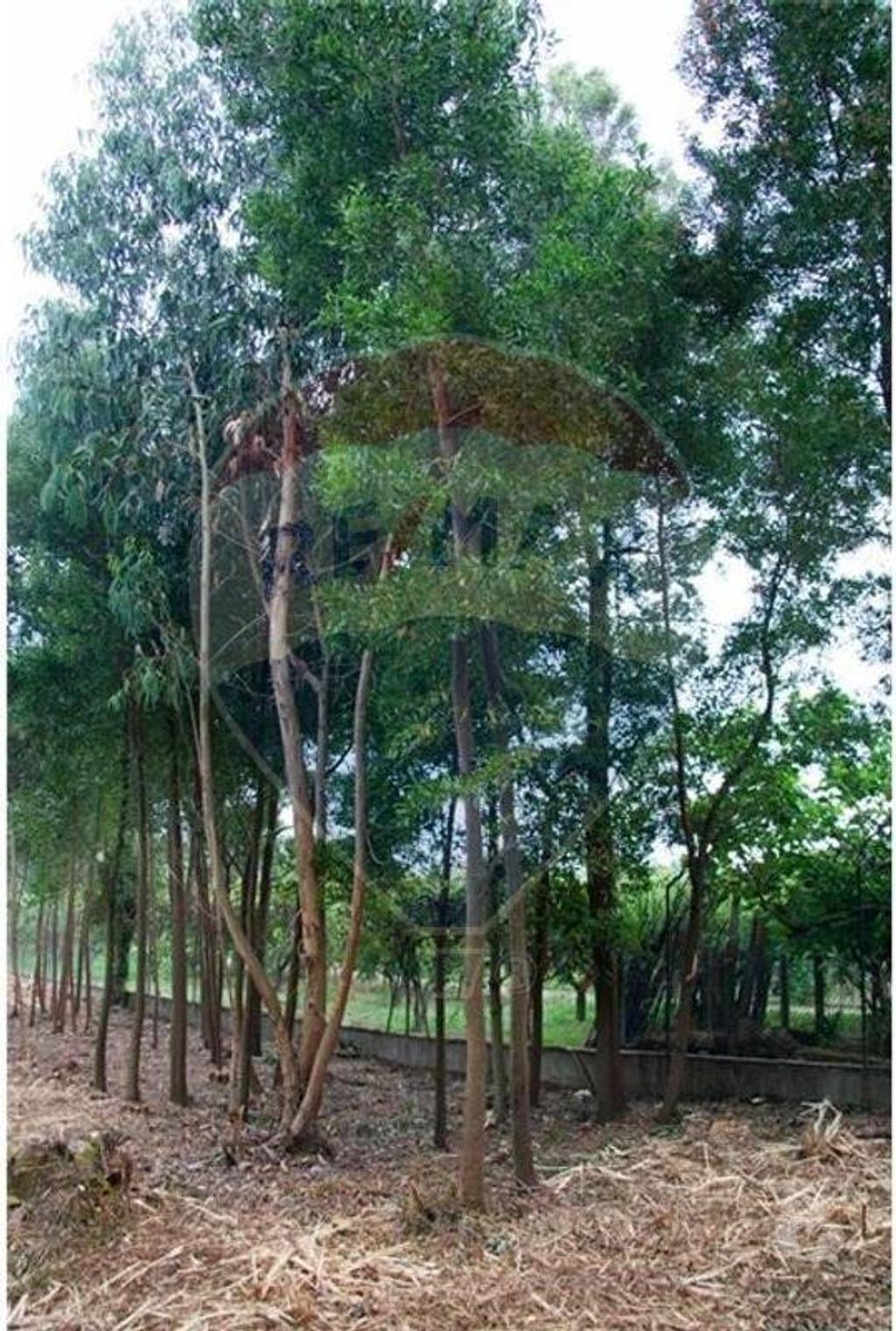 Terrenos Vila Nova de Gaia - Fotos para Vila-nova-de-gaia-Terreno T0 para venda (124851165-14)