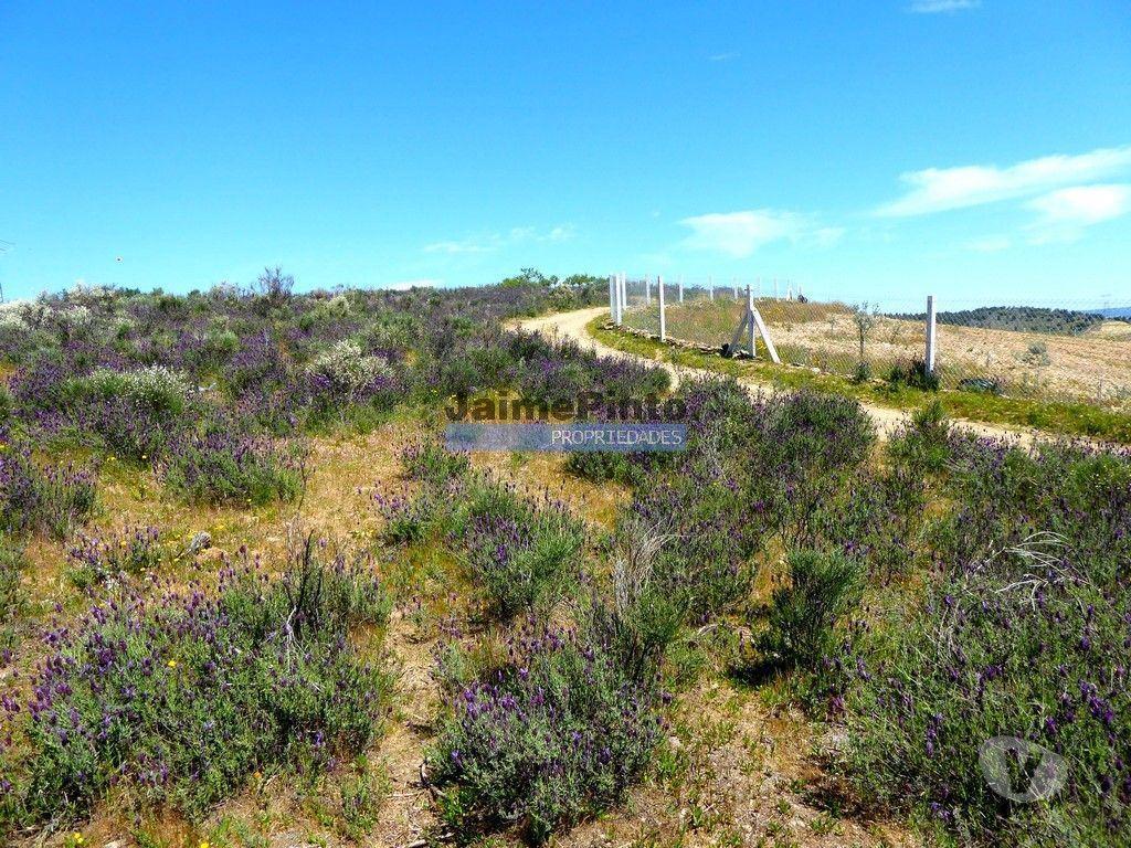 Terrenos Alfândega da Fé - Fotos para 7,8ha p construção Casa de Campo e plantações. Trás-os-Montes,