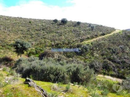 Terrenos a venda - Fotos para 7,8ha p construção Casa de Campo e plantações. Trás-os-Montes,