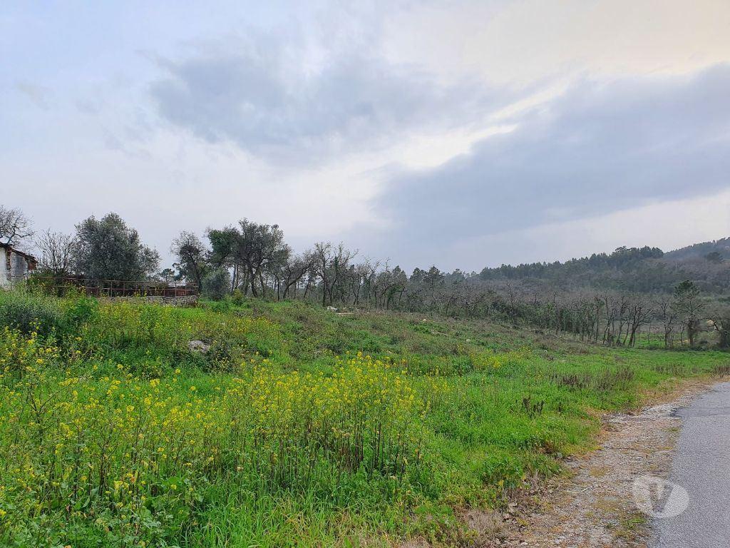 Terrenos Porto de Mós - Fotos para Quintinha c 5500m2 com moradia para reconstrução - Porto de Mós
