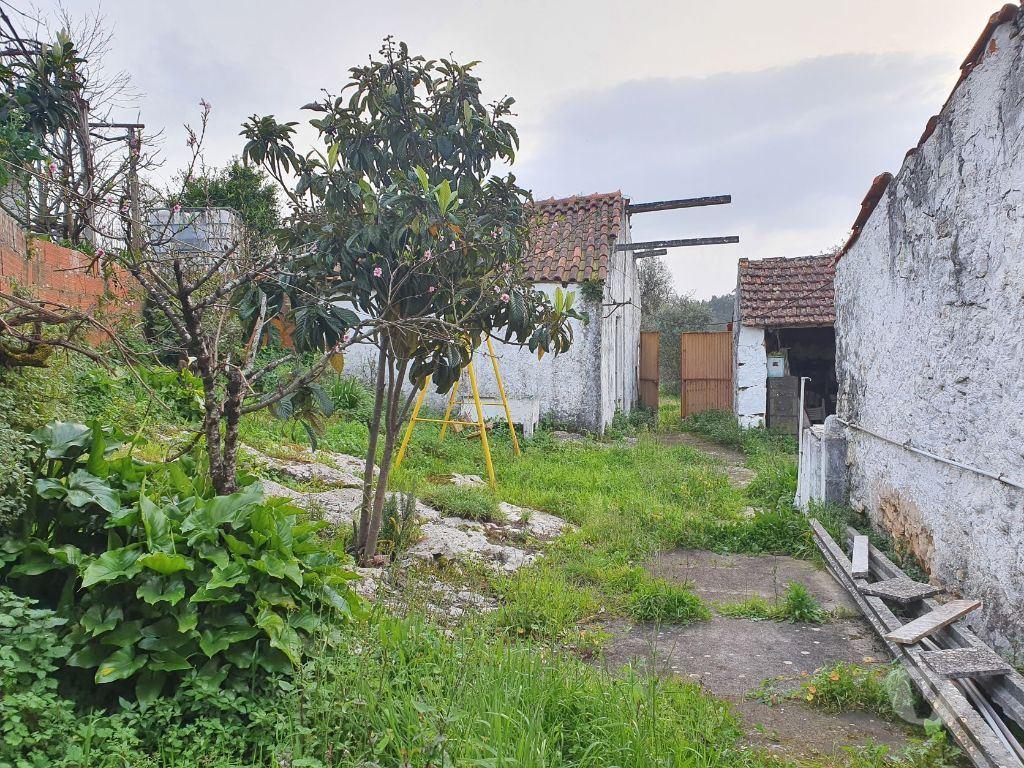 Terrenos Porto de Mós - Fotos para Quintinha c 5500m2 com moradia para reconstrução - Porto de Mós
