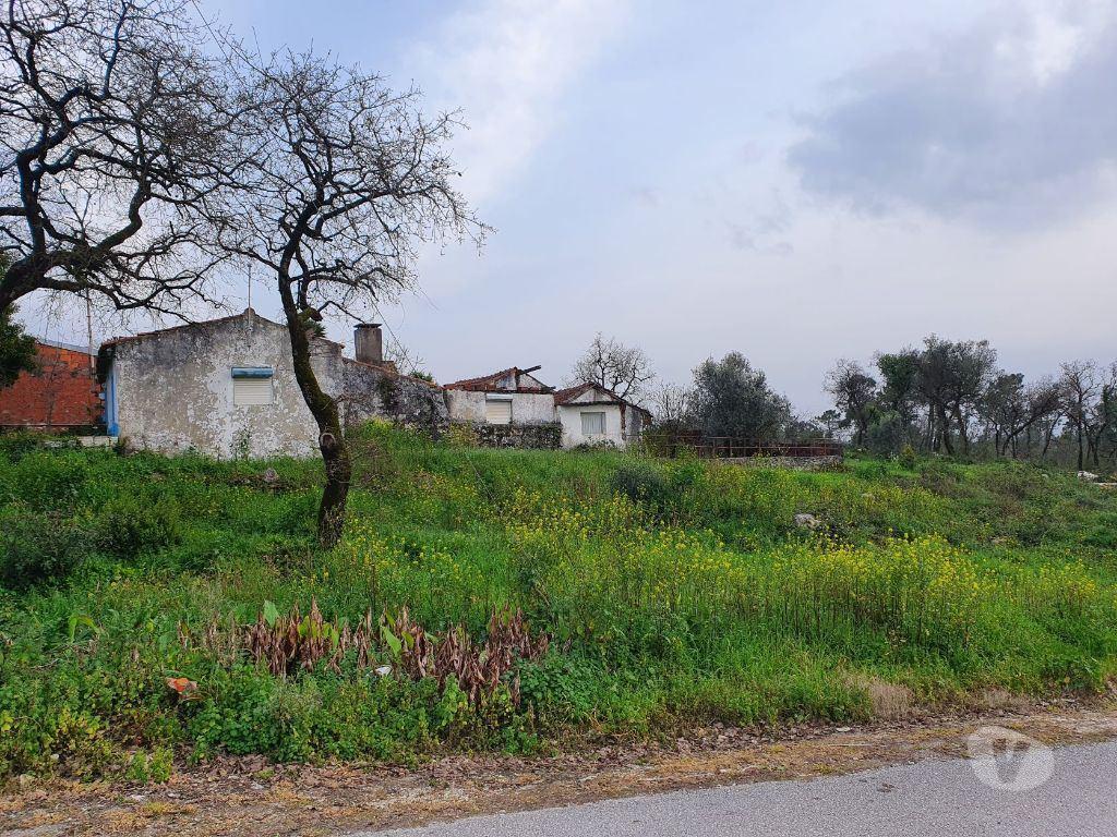 Terrenos Porto de Mós - Fotos para Quintinha c 5500m2 com moradia para reconstrução - Porto de Mós