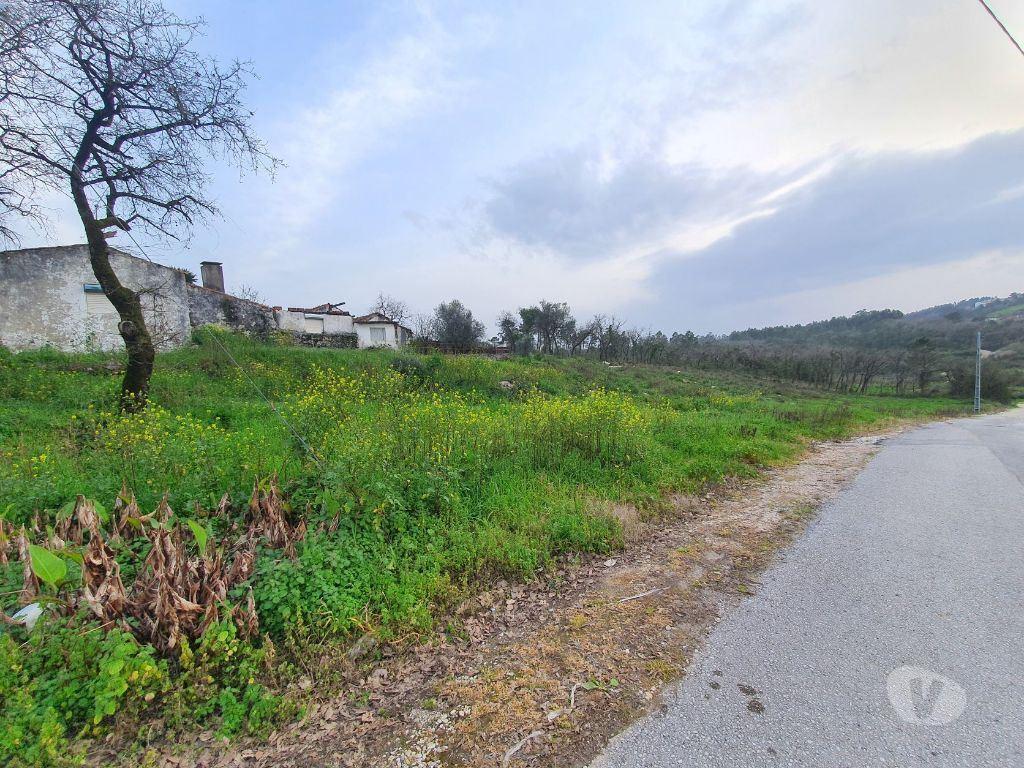 Terrenos Porto de Mós - Fotos para Quintinha c 5500m2 com moradia para reconstrução - Porto de Mós