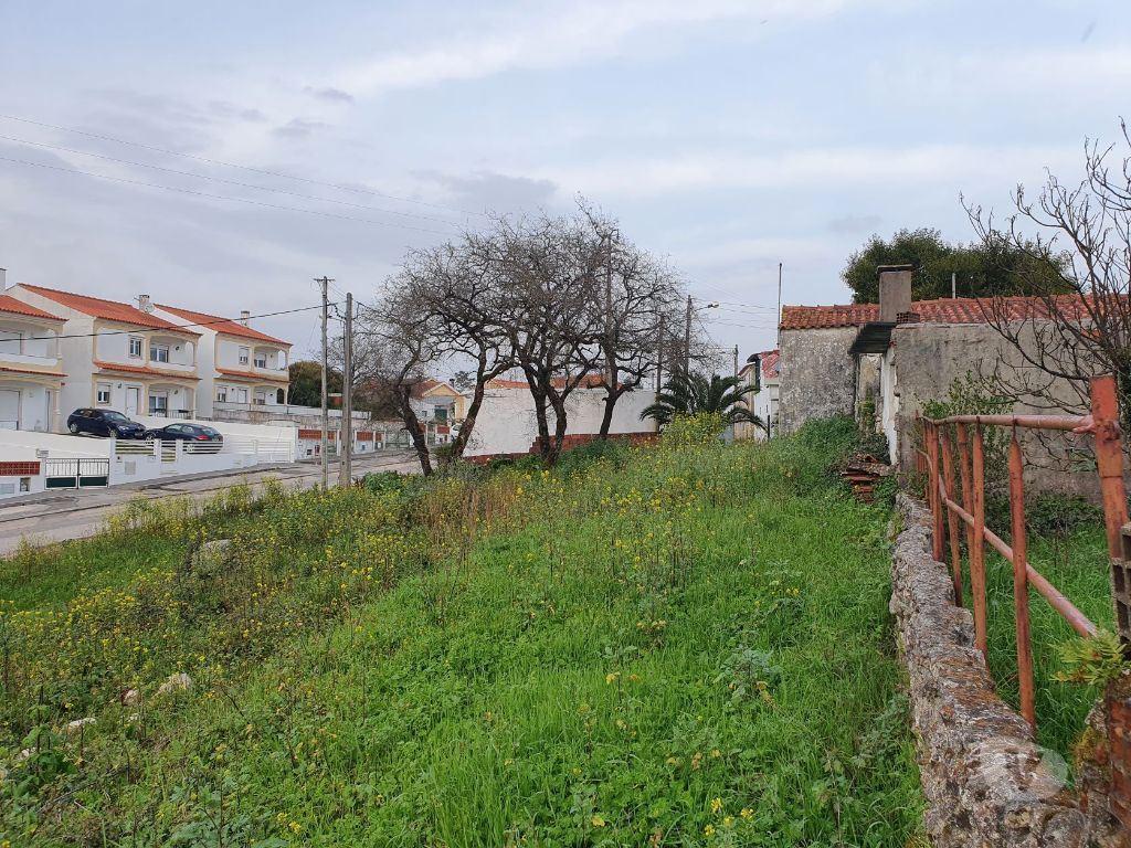 Terrenos Porto de Mós - Fotos para Quintinha c 5500m2 com moradia para reconstrução - Porto de Mós