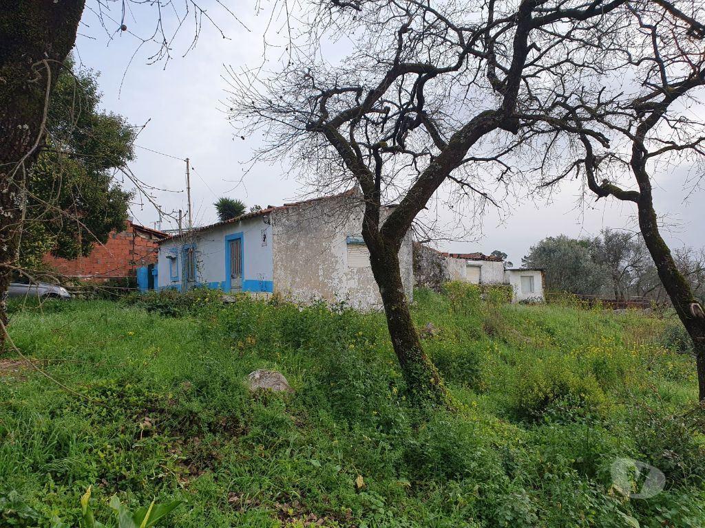 Terrenos Porto de Mós - Fotos para Quintinha c 5500m2 com moradia para reconstrução - Porto de Mós