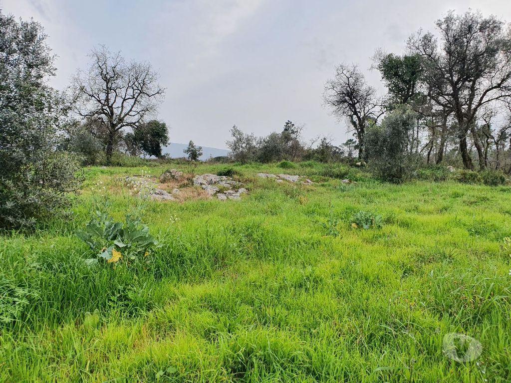 Terrenos Porto de Mós - Fotos para Quintinha c 5500m2 com moradia para reconstrução - Porto de Mós