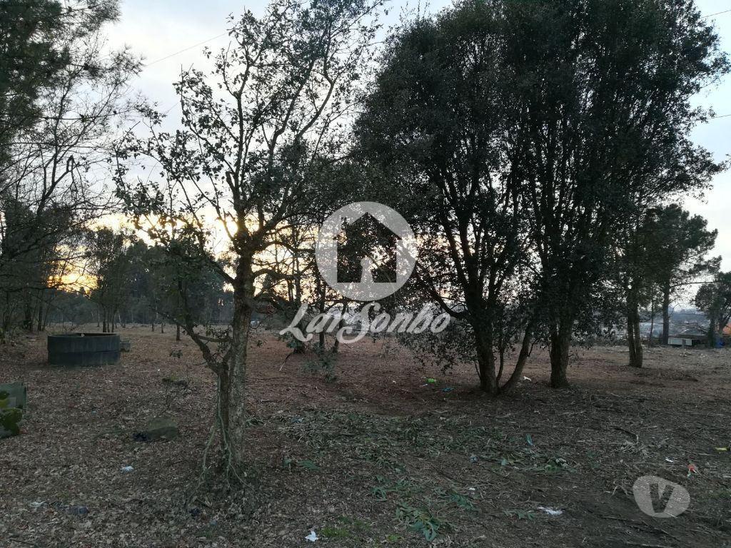 Terrenos Santo Tirso - Fotos para VENDE-SE TERRENO RÚSTICO AVES SANTO TIRSO (243-T-00579)