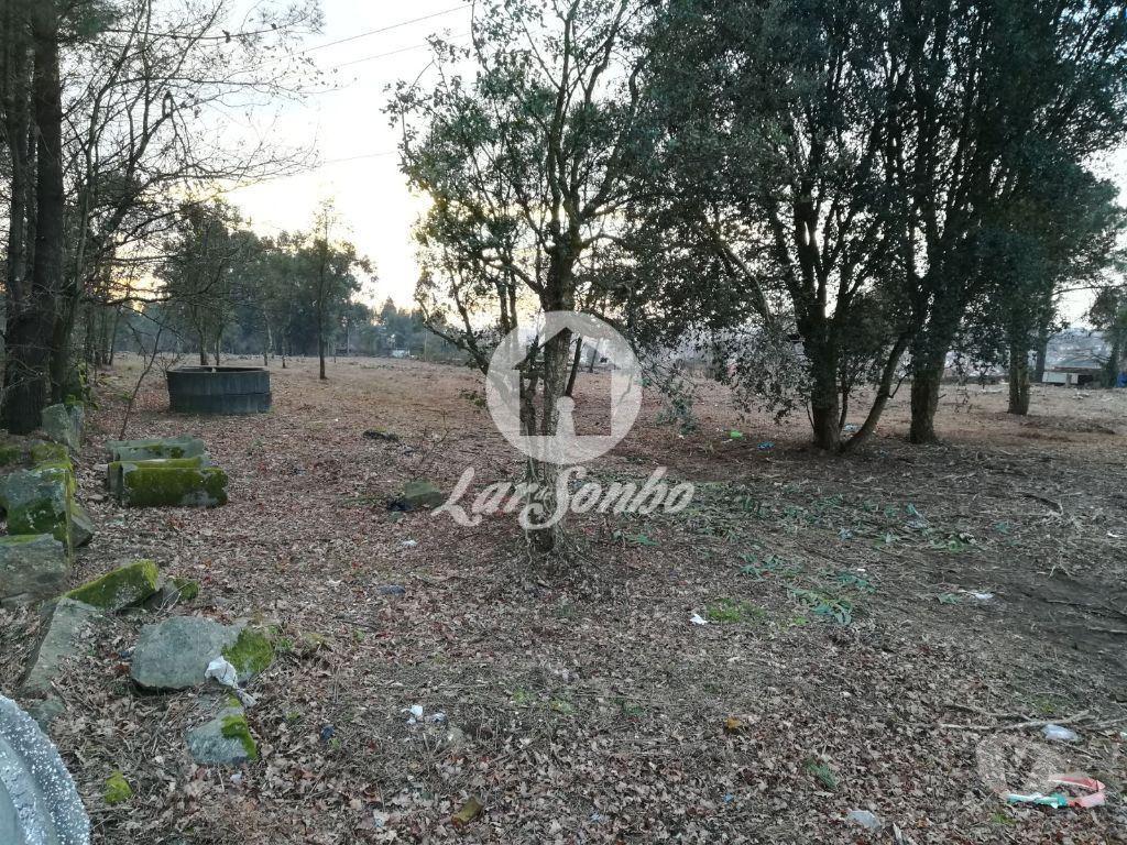 Terrenos Santo Tirso - Fotos para VENDE-SE TERRENO RÚSTICO AVES SANTO TIRSO (243-T-00579)