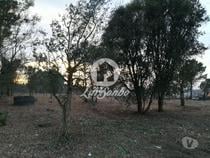 Fotos para VENDE-SE TERRENO RÚSTICO AVES SANTO TIRSO (243-T-00579)