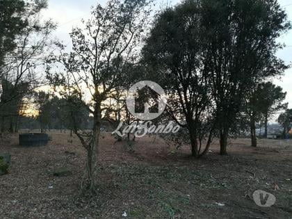 Terrenos e Quintas - Fotos para VENDE-SE TERRENO RÚSTICO AVES SANTO TIRSO (243-T-00579)