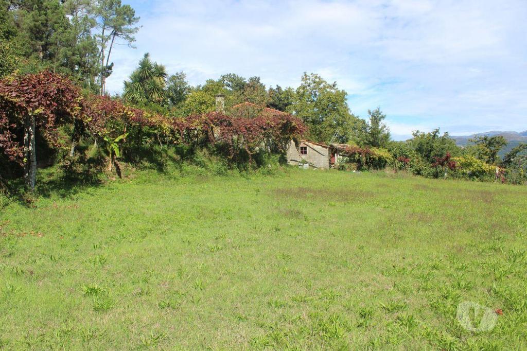 Terrenos Arcos de Valdevez - Fotos para Arcos-de-valdevez-Quinta em Arcos de Valdevez (106 21)