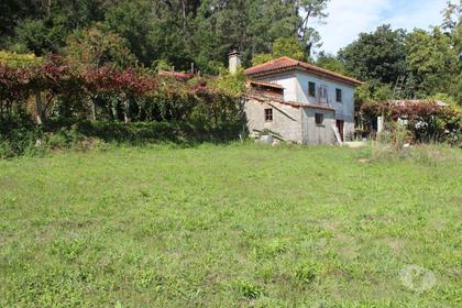 Terrenos e Quintas - Fotos para Arcos-de-valdevez-Quinta em Arcos de Valdevez (106 21)