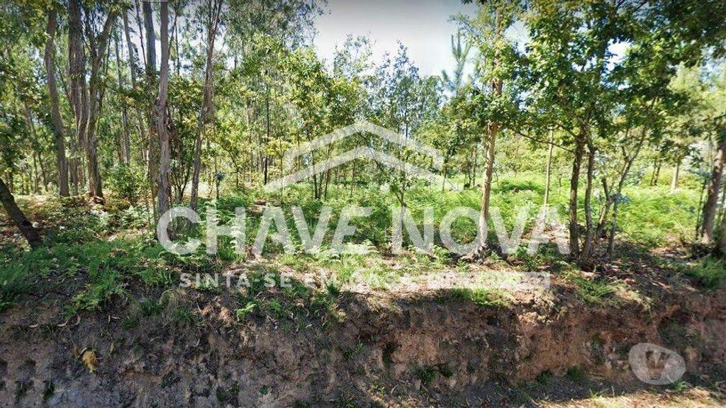 Terrenos Oliveira de Azeméis - Fotos para Terreno em Cucujães, Oliveira de Azeméis (SMF 02011)