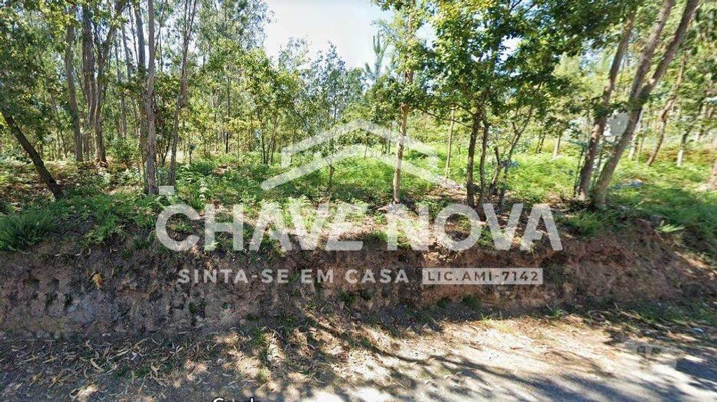 Terrenos Oliveira de Azeméis - Fotos para Terreno em Cucujães, Oliveira de Azeméis (SMF 02011)