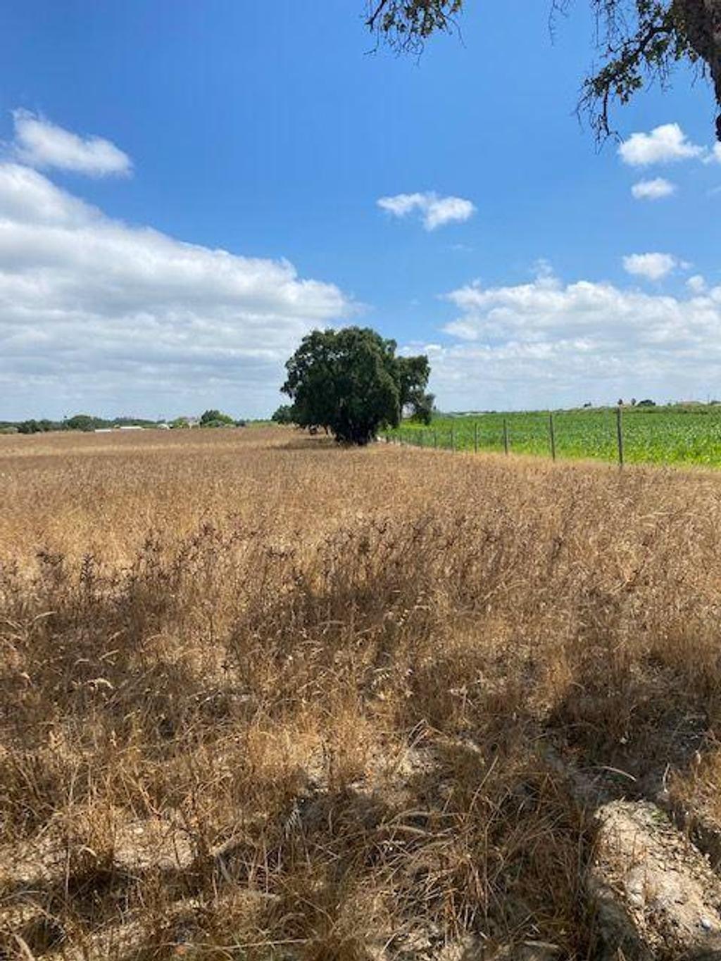 Terrenos Palmela - Fotos para Palmela-Terreno a venda em Passsarinhas Palmela (182)