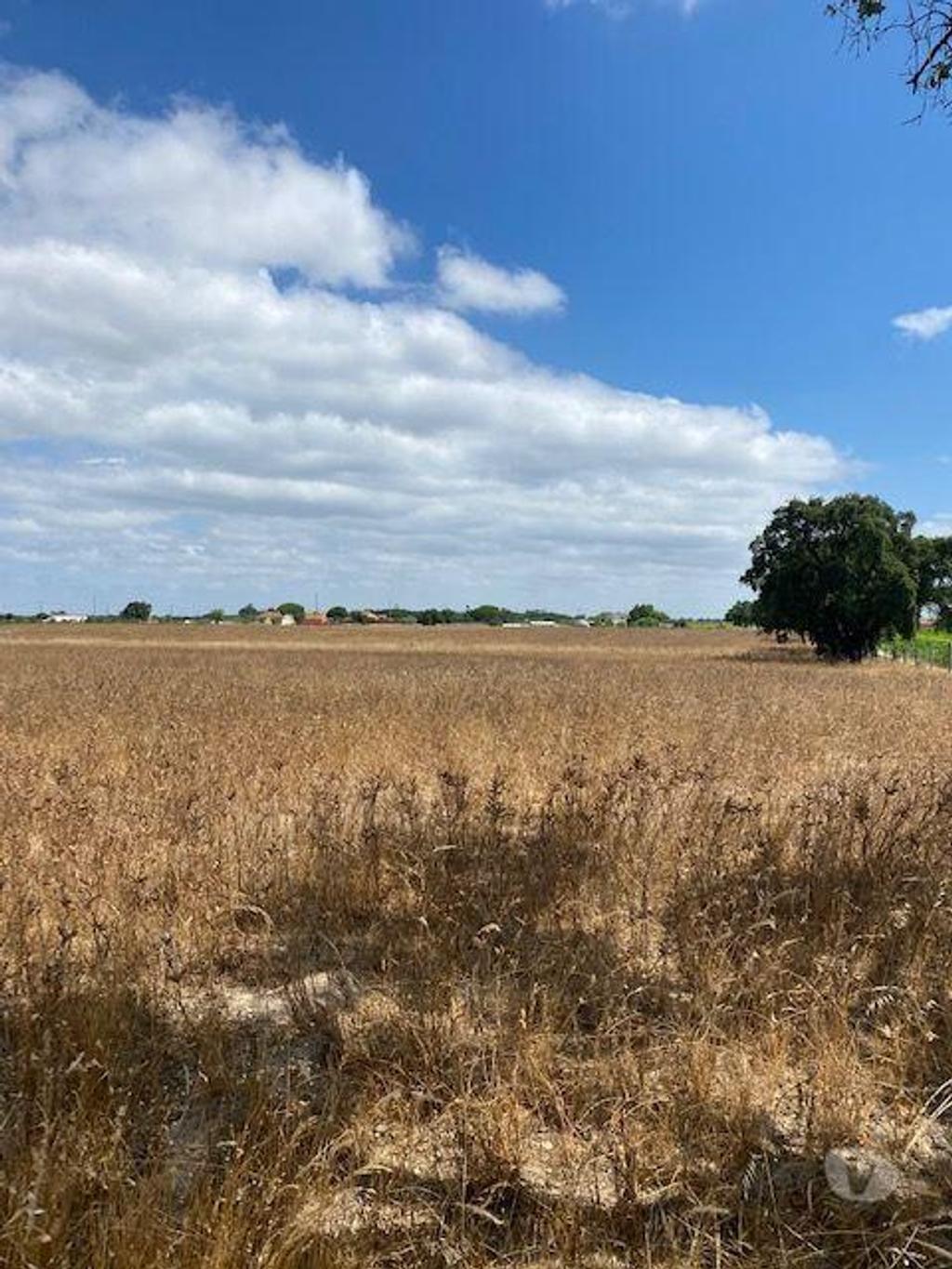 Terrenos Palmela - Fotos para Palmela-Terreno a venda em Passsarinhas Palmela (182)