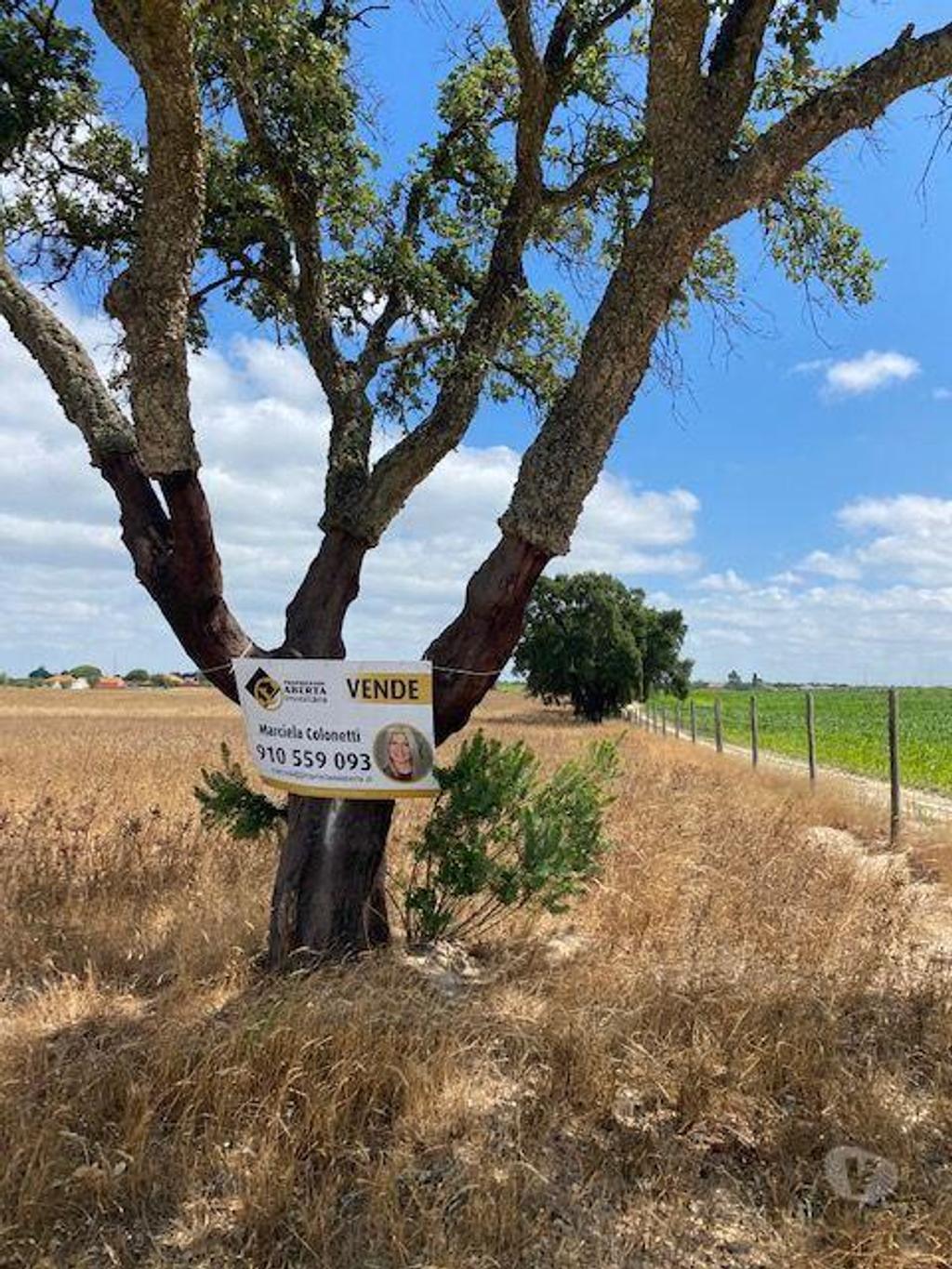 Terrenos Palmela - Fotos para Palmela-Terreno a venda em Passsarinhas Palmela (182)