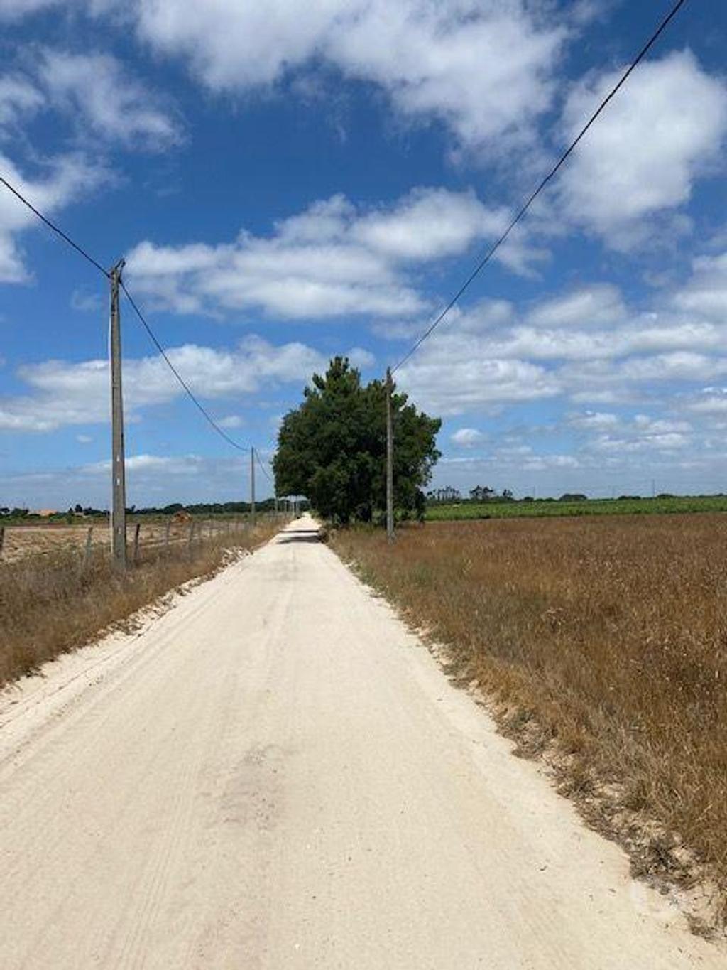 Terrenos Palmela - Fotos para Palmela-Terreno a venda em Passsarinhas Palmela (182)