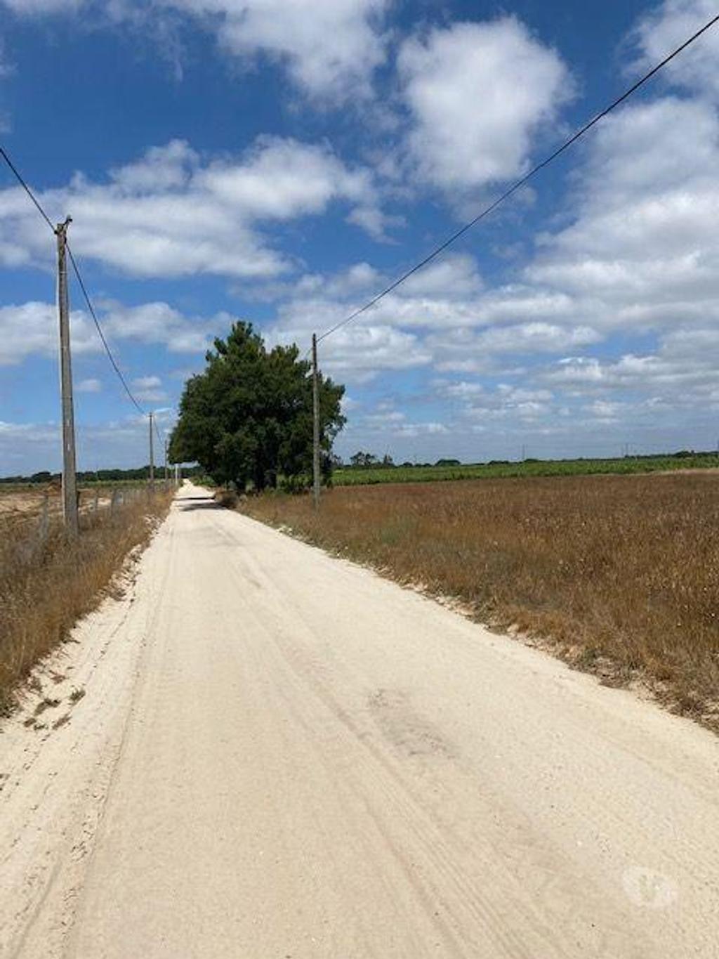 Terrenos Palmela - Fotos para Palmela-Terreno a venda em Passsarinhas Palmela (182)