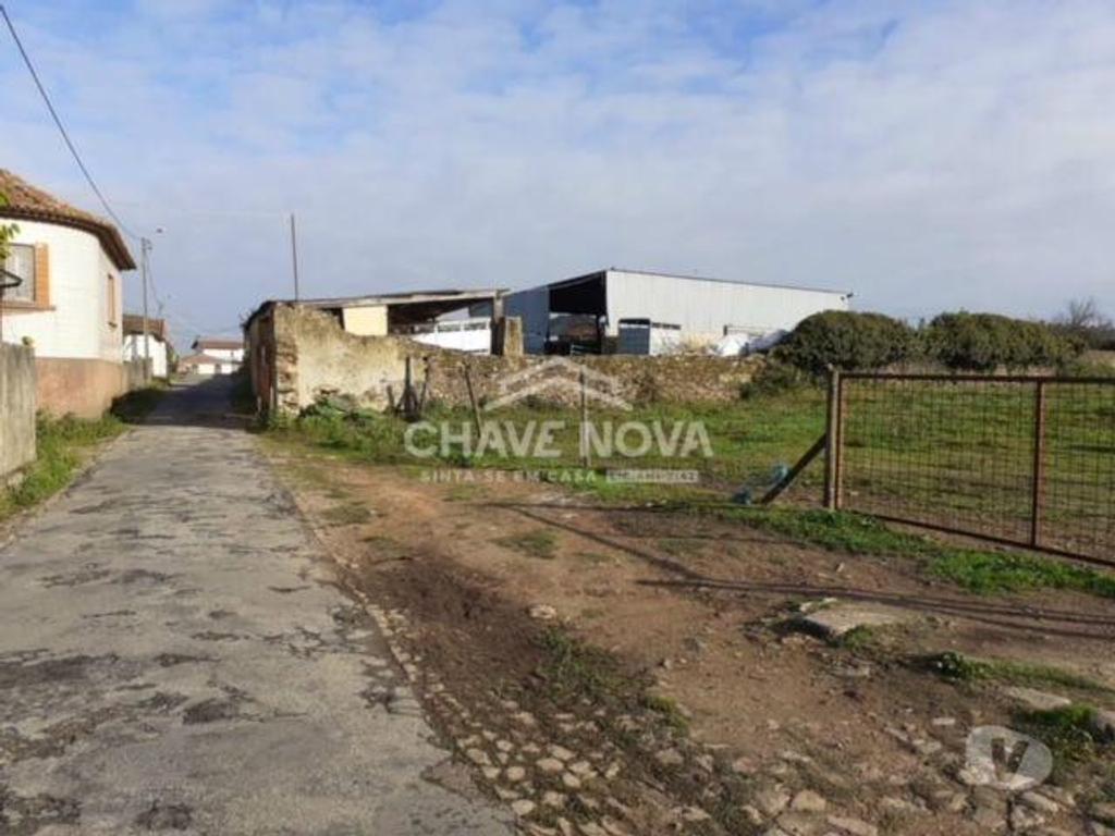 Comprar Loja Oliveira de Azeméis - Fotos para Terreno para construção de moradia