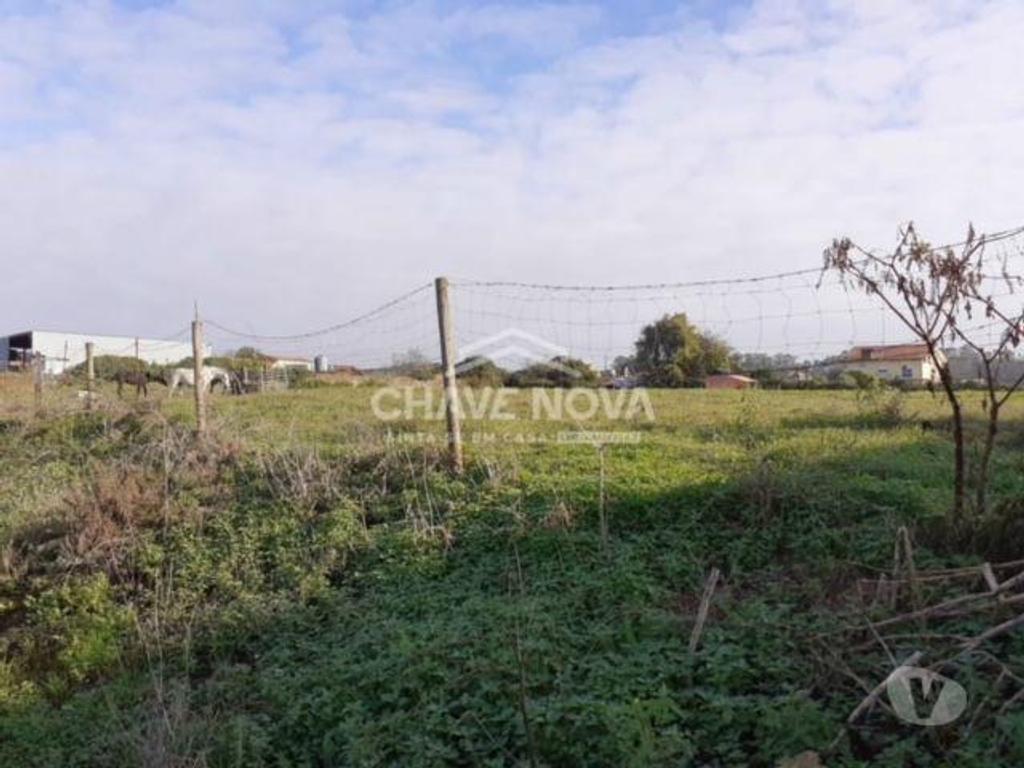 Comprar Loja Oliveira de Azeméis - Fotos para Terreno para construção de moradia