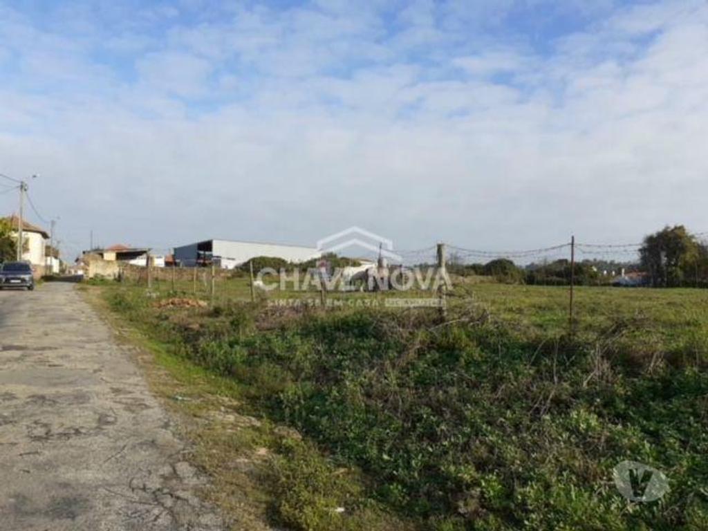 Comprar Loja Oliveira de Azeméis - Fotos para Terreno para construção de moradia