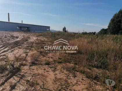 Terrenos - Fotos para Terreno com 6500 m² para construção de armazéns, junto á D.