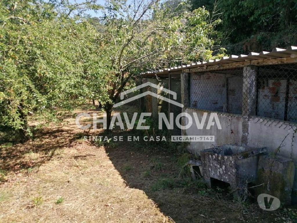 Terrenos Santo Tirso - Fotos para Santo-tirso-Quinta V5 em Roriz, Santo Tirso (PRTOR 00511)