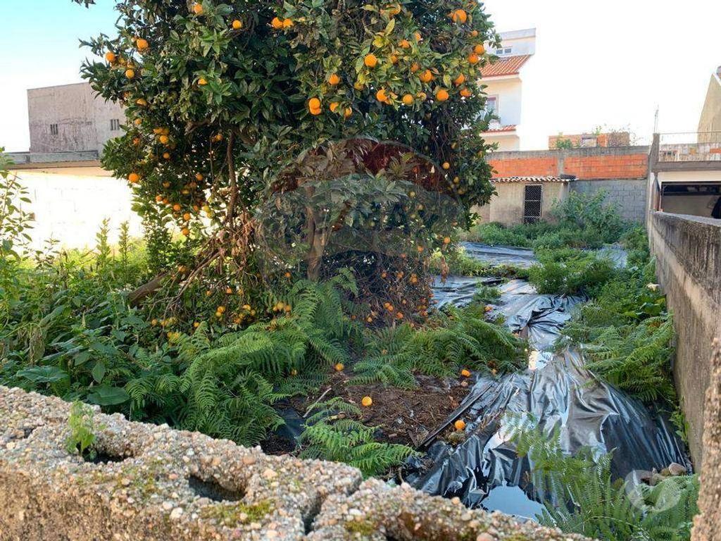 Terrenos Matosinhos - Fotos para Matosinhos-Terreno para venda (124851177-6)