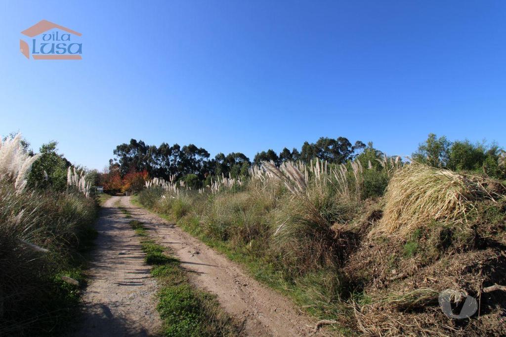 Terrenos Vila Nova de Gaia - Fotos para Terreno com 12.317 m2 no centro dos Carvalhos para a construção