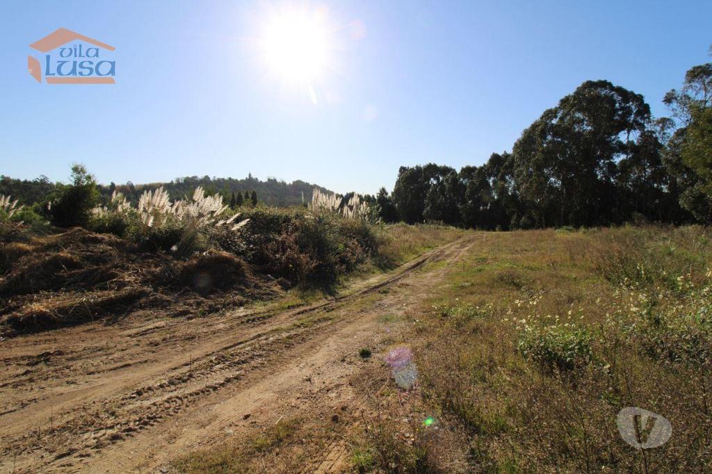 Terrenos Vila Nova de Gaia - Fotos para Terreno com 12.317 m2 no centro dos Carvalhos para a construção