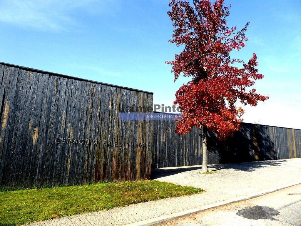 Terrenos Sabrosa - Fotos para Vinha de encosta e ruína para alojamento turístico. Douro,