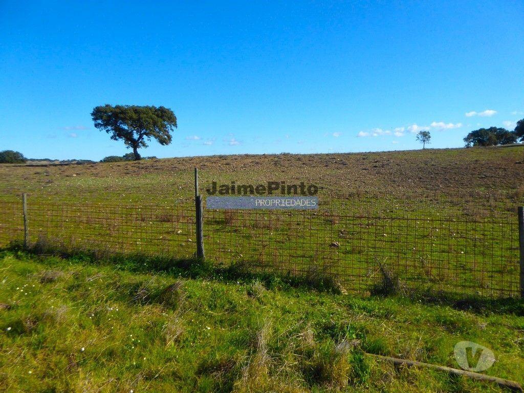 Terrenos Cuba - Fotos para 525ha, pastagens, cortiça e caça. Portugal, Beja, Cuba (8850_Q)